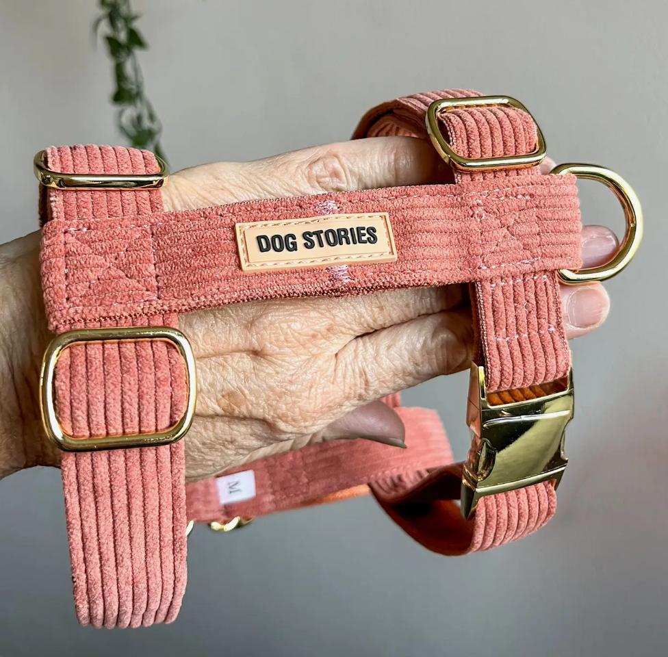 Hundegeschirr toskana Größe M