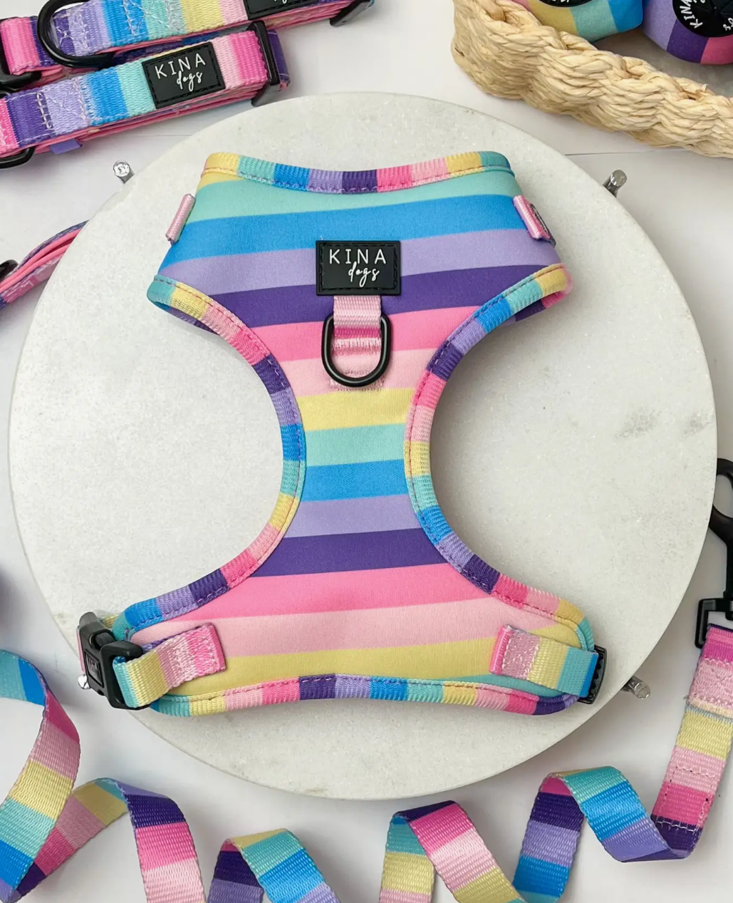 Hundegeschirr Rainbow Weste Größe M