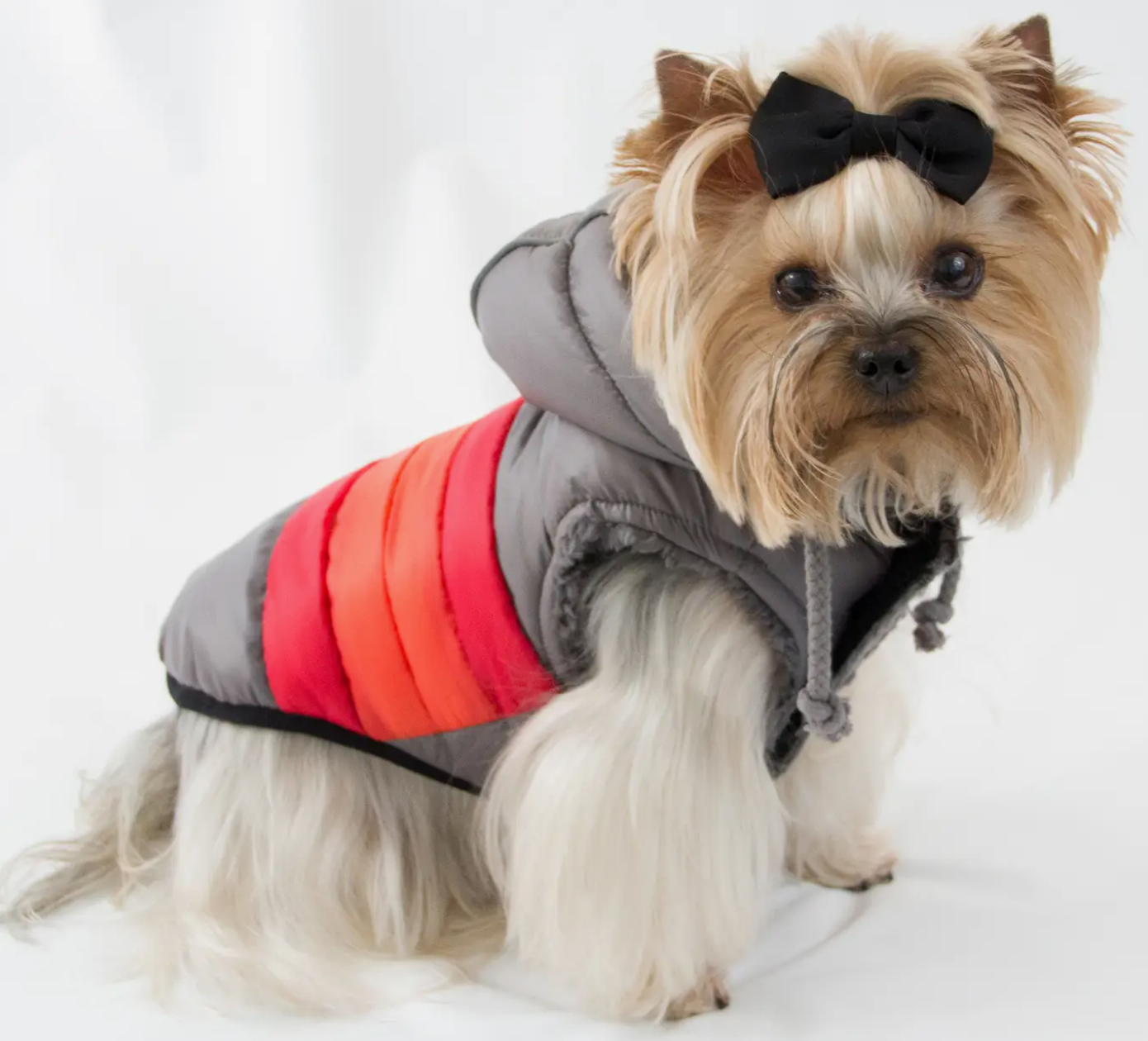 Hundemantel Hipp Doggie Orange