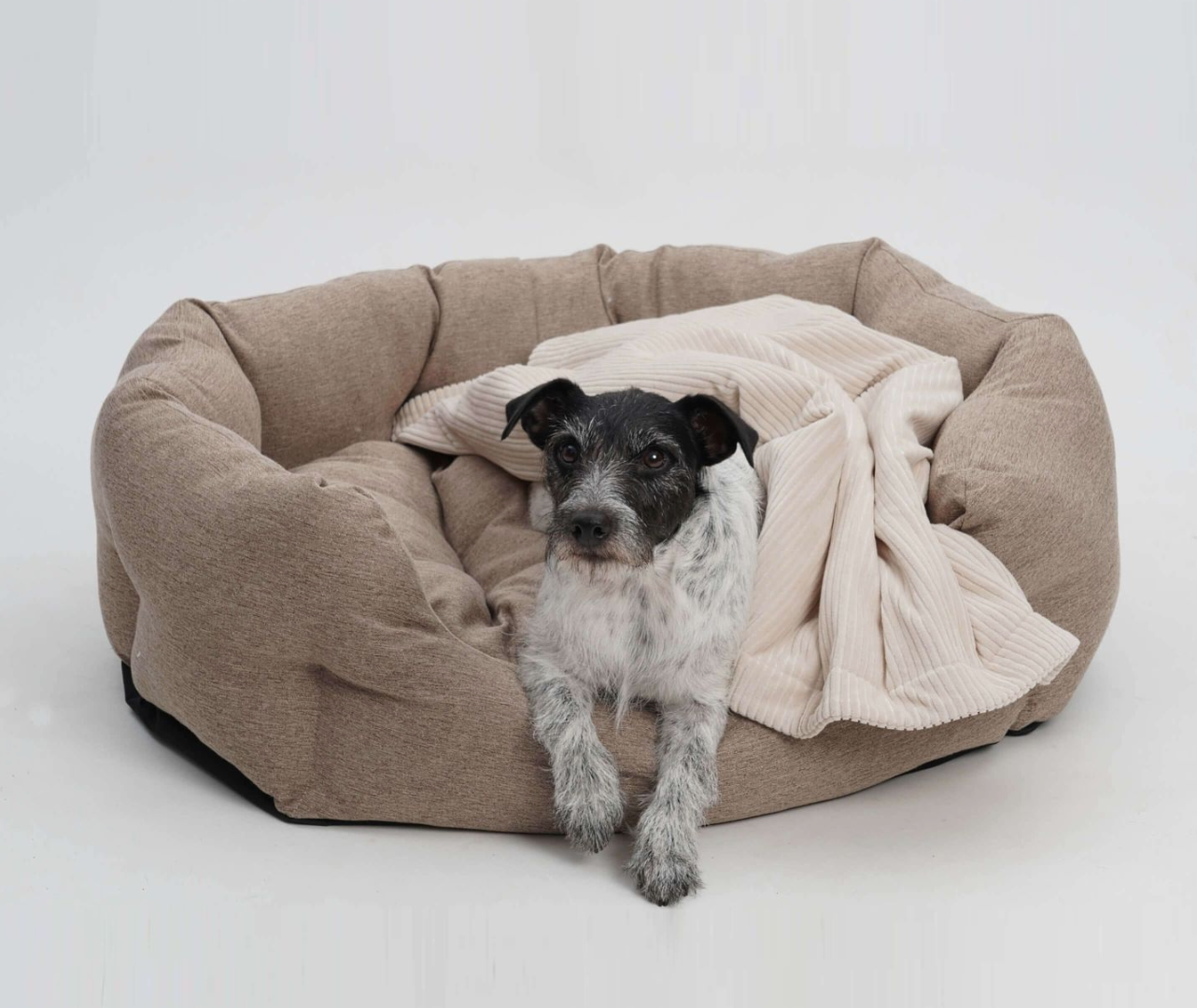 Hundekörpchen Loomi Größe M greige