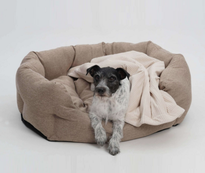 Hundebettchen