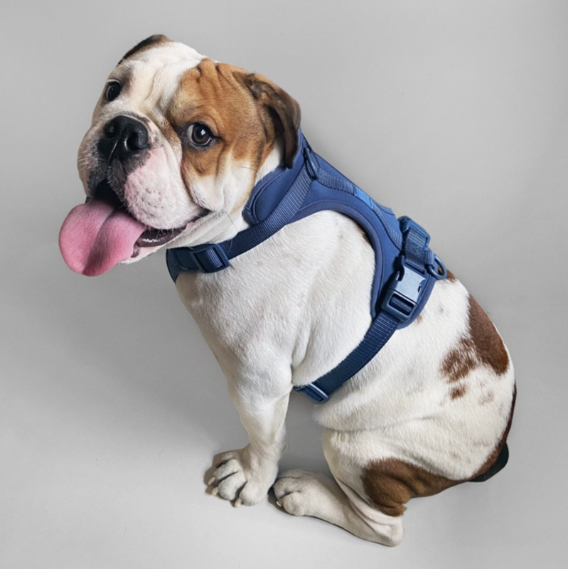 Hundegeschirr Dunkelblau Größe XS Hundegeschirr Dunkelblau Größe XS