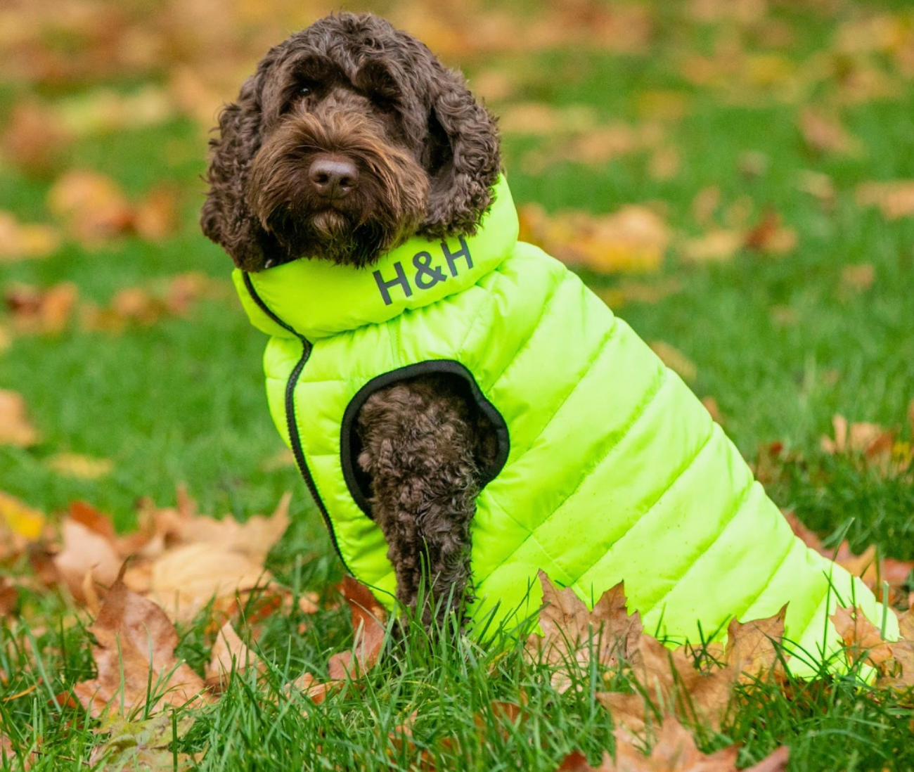 H&H Pufferjacke neon/blau