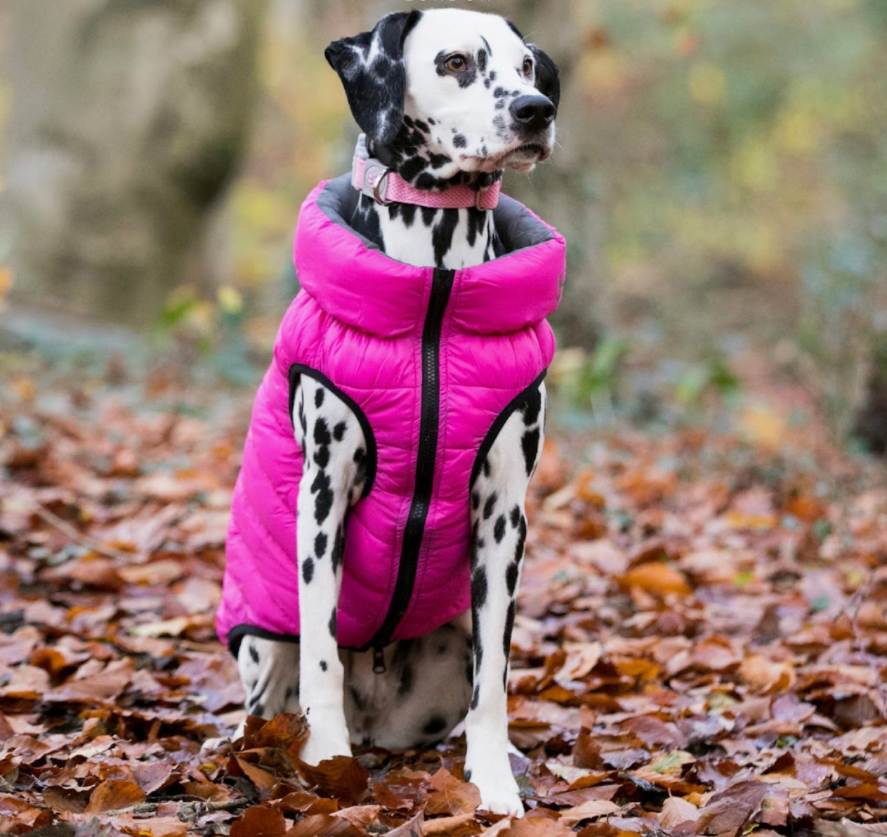 H&H Pufferjacke pink/grau