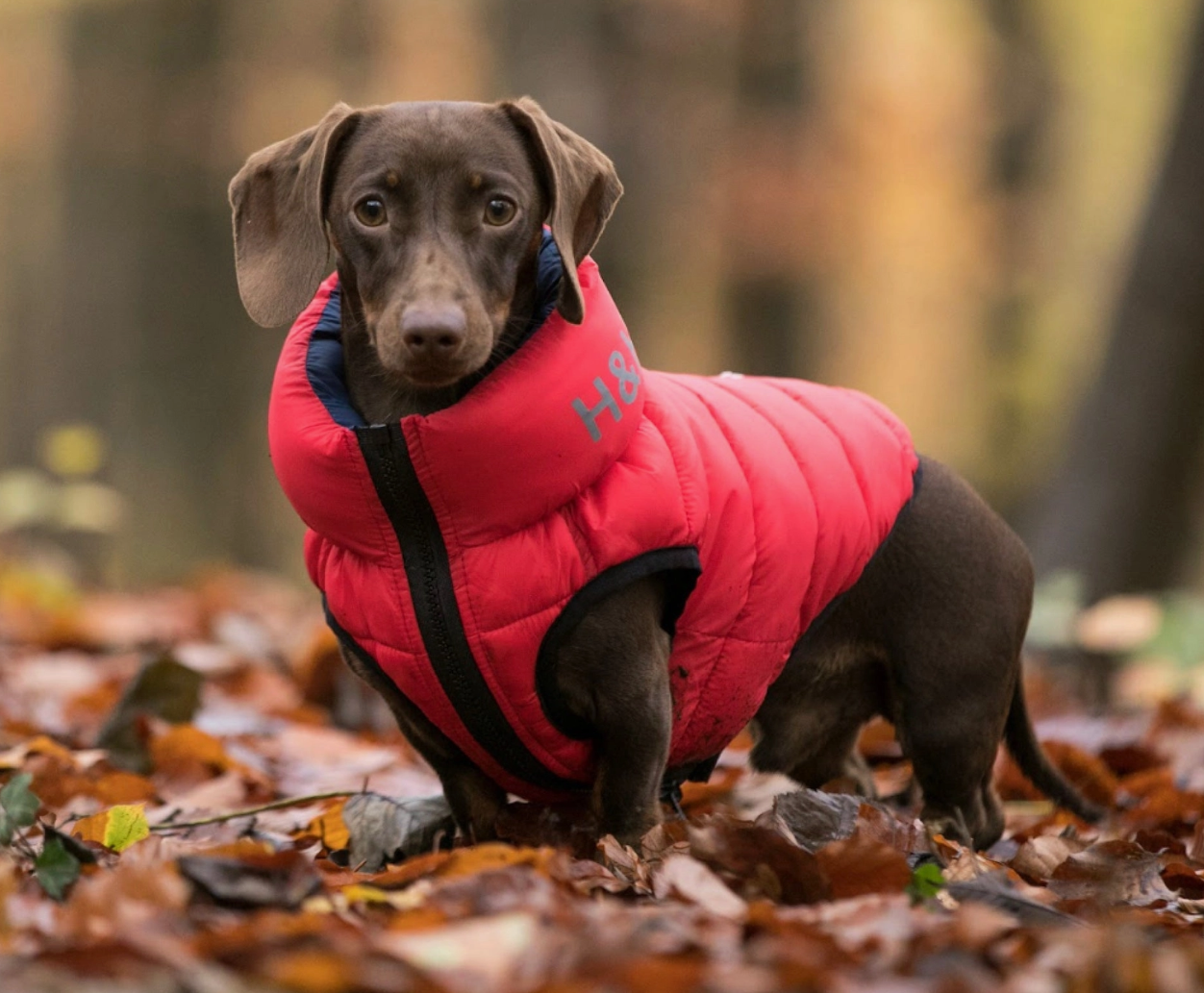 H&H Pufferjacke rot/blau