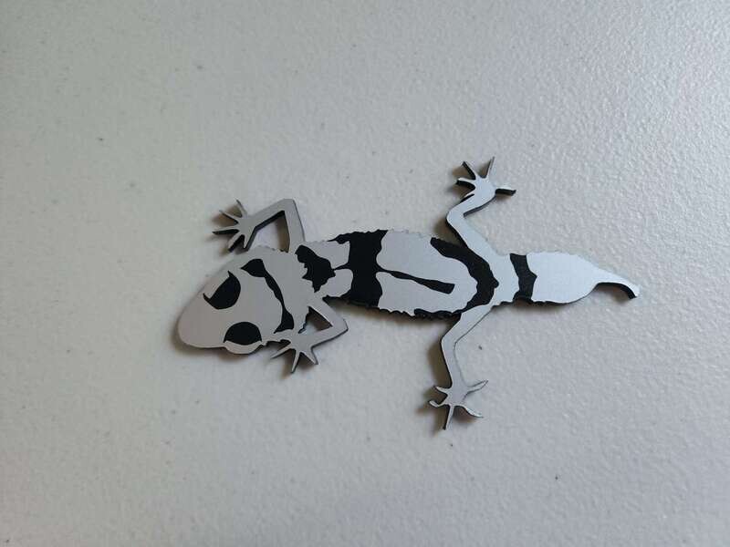 Gecko Glass Finger Grips (Two designs)