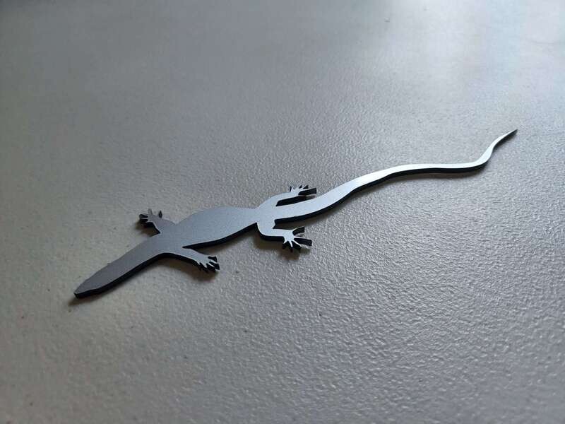 Monitor Lizard Glass Finger Grip