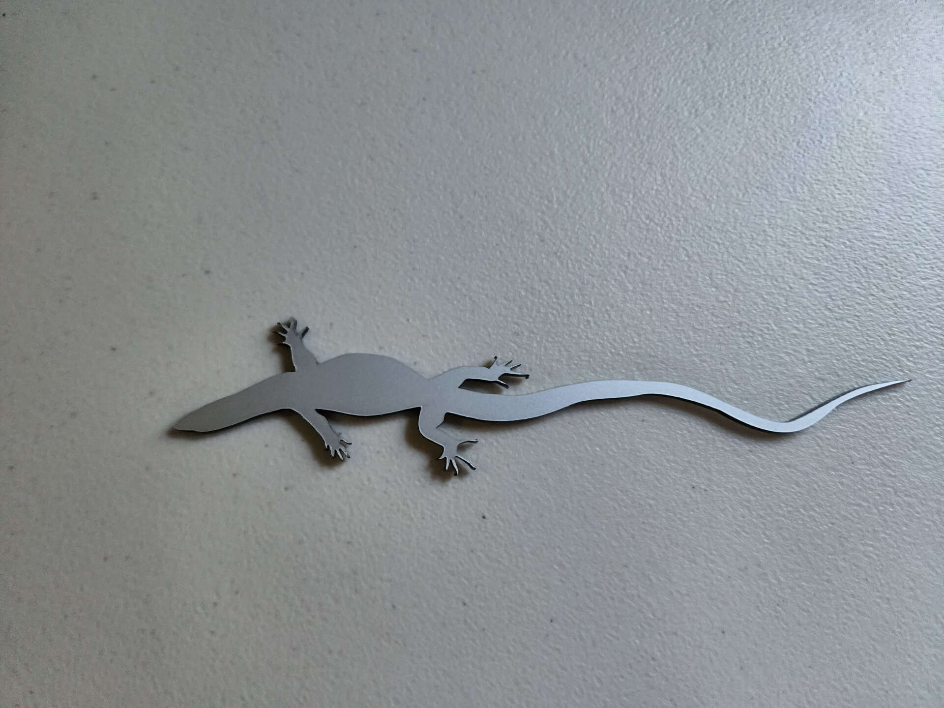 Monitor Lizard Glass Finger Grip