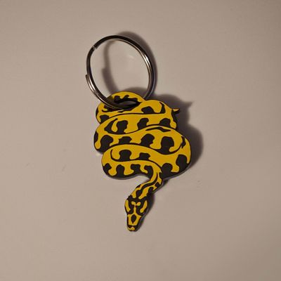 Reptile Keyrings