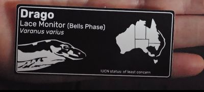 Custom reptile enclosure name plate