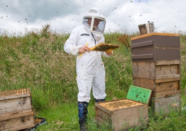 Beginner Beekeeping Class {October 21st and 22nd, 2023}