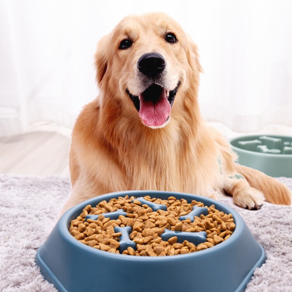 Pet Slow Food Bowl Dog Bowl Slow Food Bowl Anti-choking Non-slip Bowl Single Bowl Plastic Small and Medium-sized Dog Cat Food