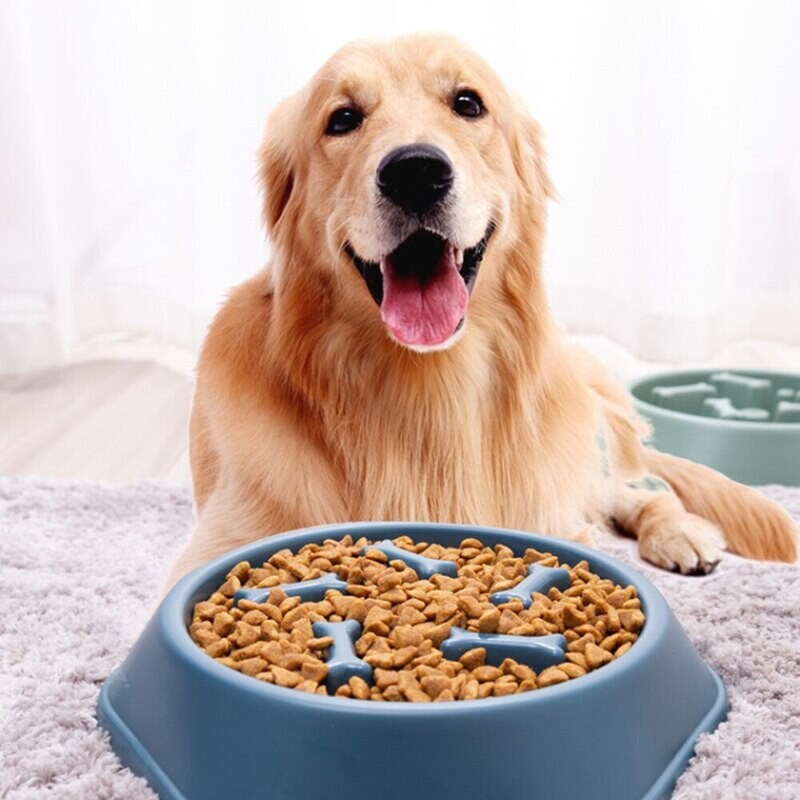 Pet Slow Food Bowl Dog Bowl Slow Food Bowl Anti-choking Non-slip Bowl Single Bowl Plastic Small and Medium-sized Dog Cat Food