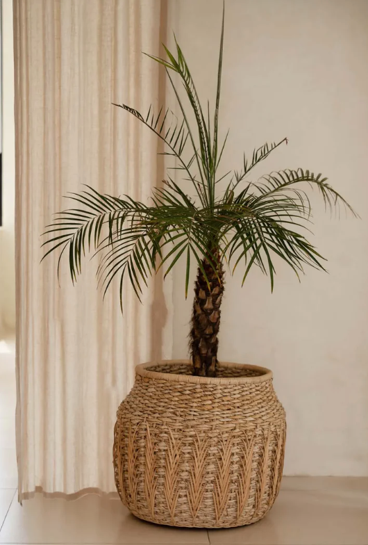 Panier Luziru - Naturel - L