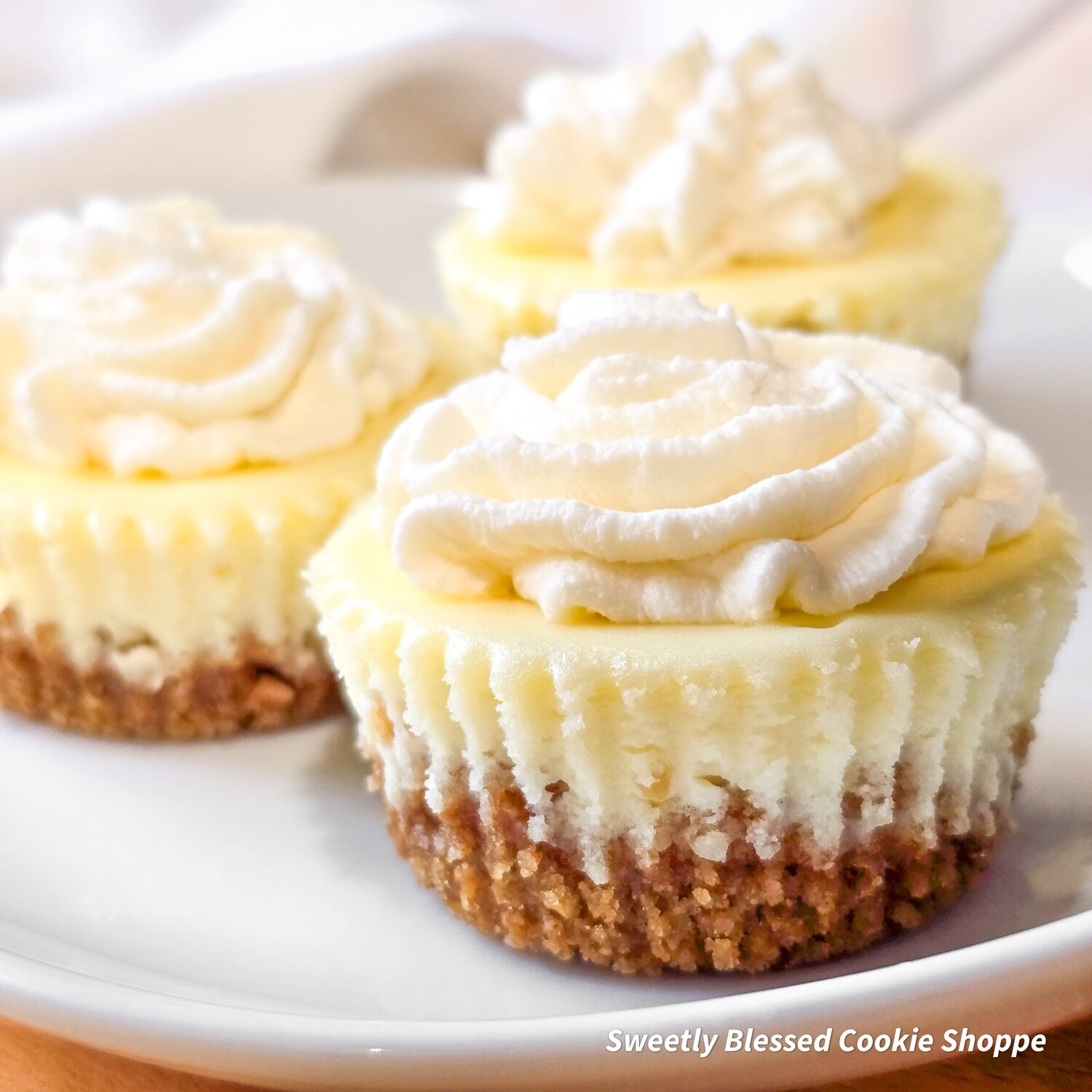 Classic New York Style Mini Cheesecake