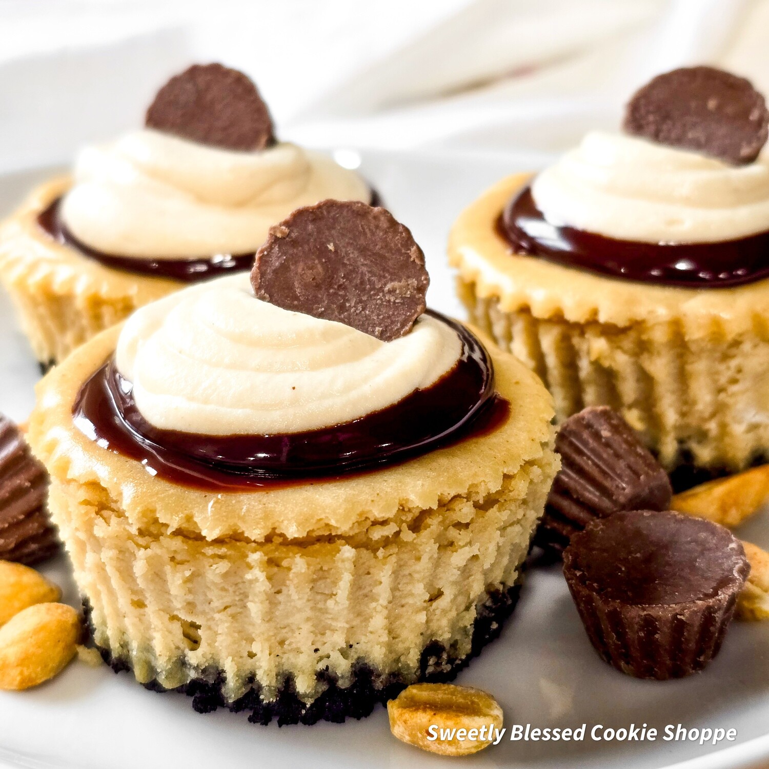 Peanut Butter Paradise Mini Cheesecake