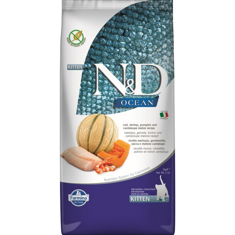 N&D OCEAN CAT COD SHRIMP PUMPKIN CANTALOUPE MELON KITTEN