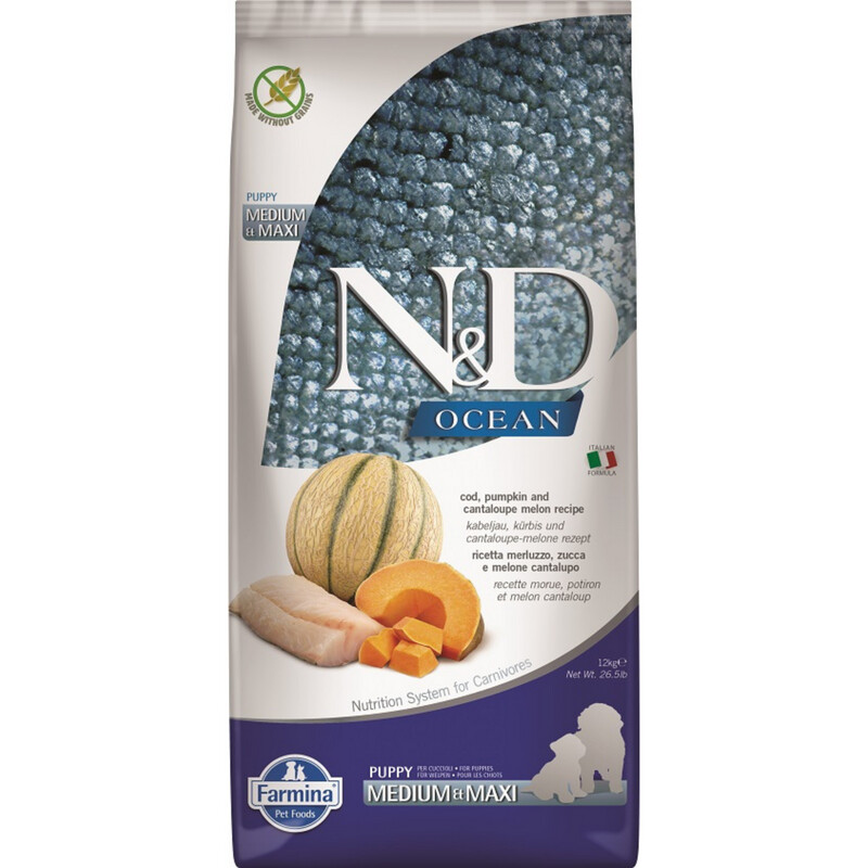 N&D OCEAN DOG COD PUMPKIN CANTALOUPE MELON PUPPY MEDIUM MAXI 12KG