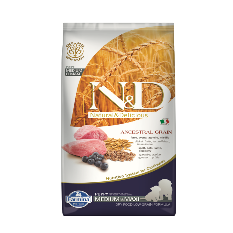 N&D DOG LOW GRAIN LAMB BLUEBERRY PUPPY MEDIUM MAXI