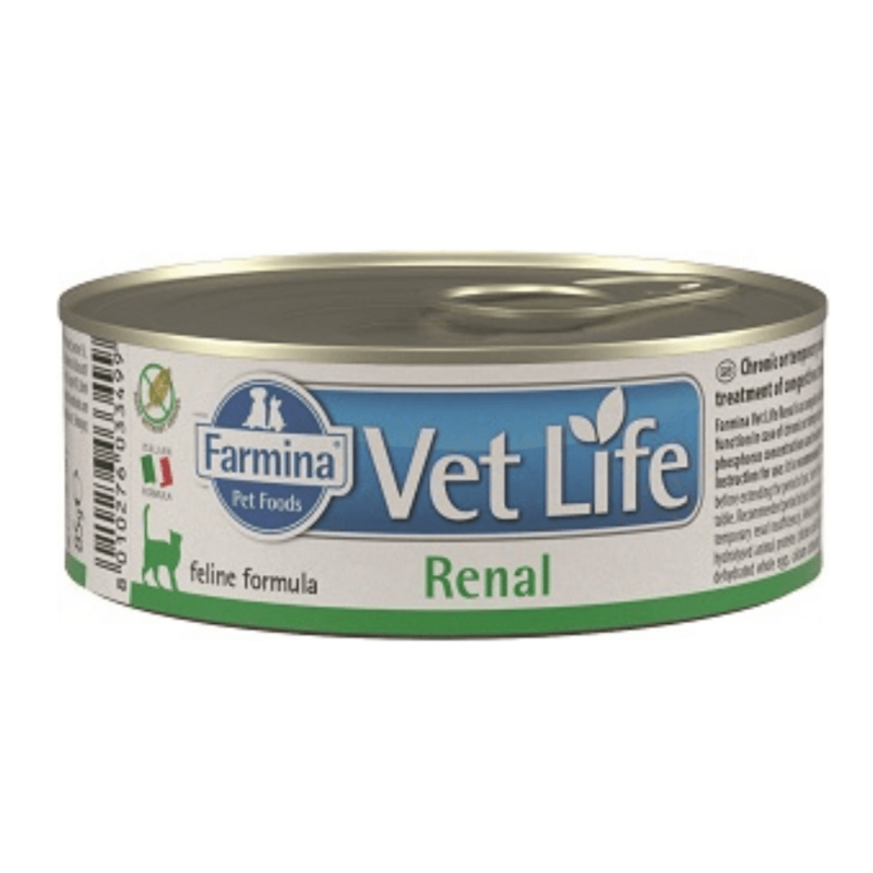 VET LIFE CAT RENAL 85G