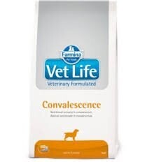 VET LIFE DOG CONVALESCENCE 2KG