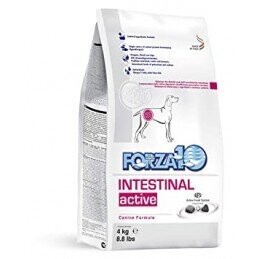 Intestinal Active suņiem 10KG