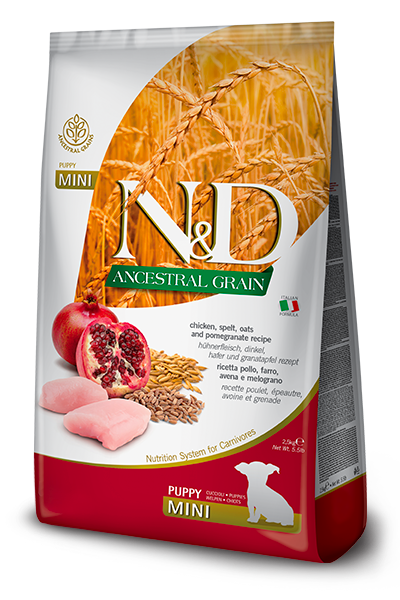 N&D DOG LOW GRAIN CHICKEN POMEGRANATE PUPPY MINI 7KG N&D DOG LOW GRAIN CHICKEN POMEGRANATE PUPPY MINI 7KG