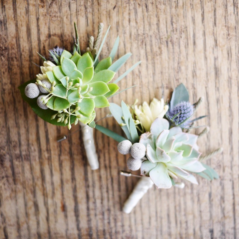 Succulent boutonniere