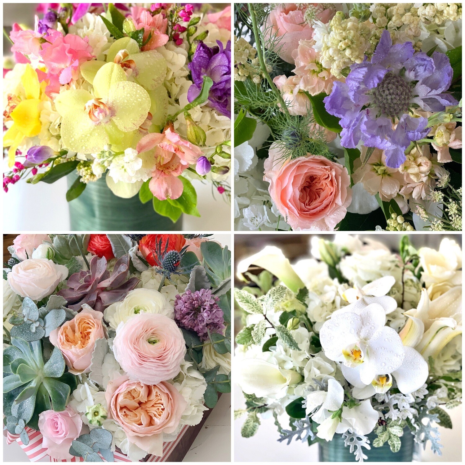 Monthly flower arrangement- 6 months