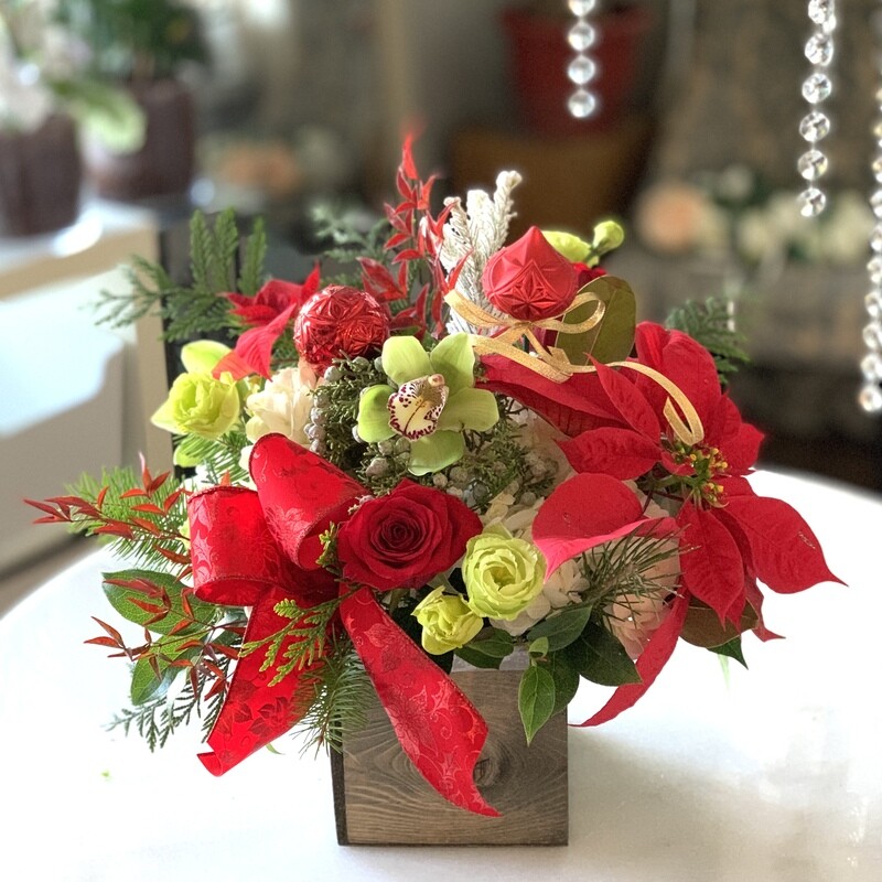 Flores de Noche Buena