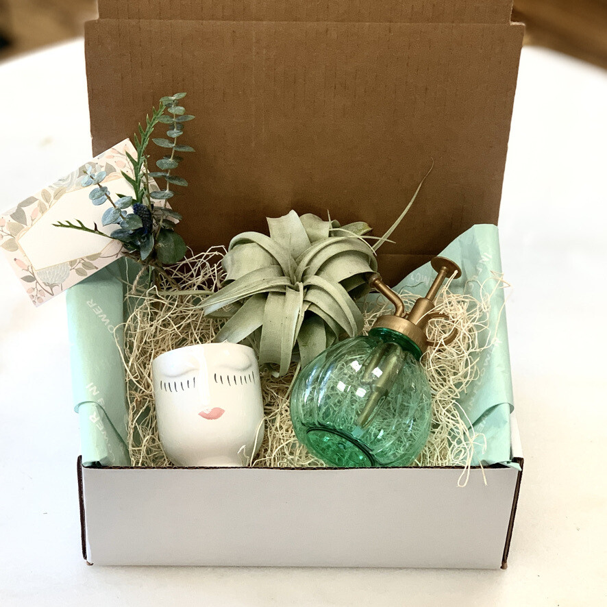 Happy thoughts air plants gift set