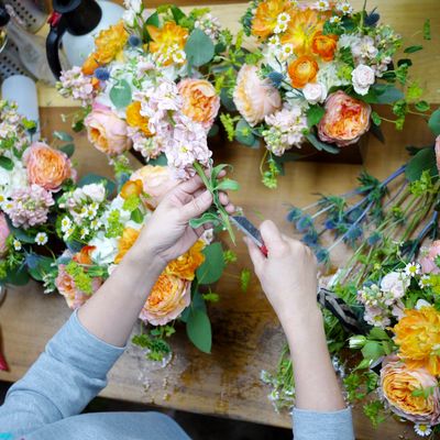 Seasonal flowers-Designer&#39;s Choice