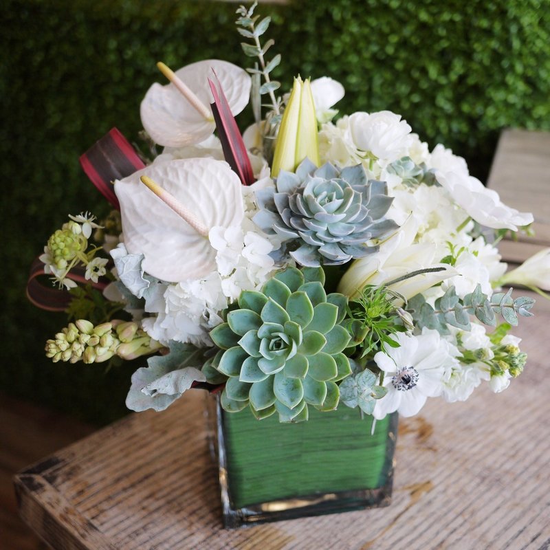 Winter white with Succulents