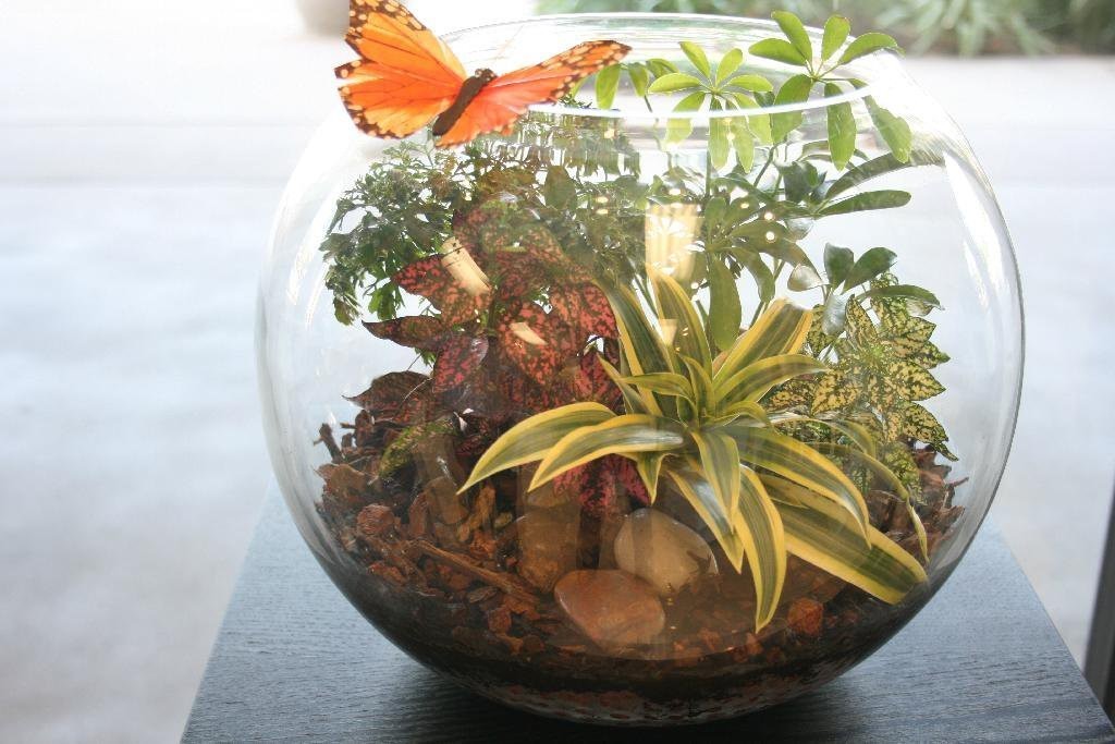 Glass Garden
