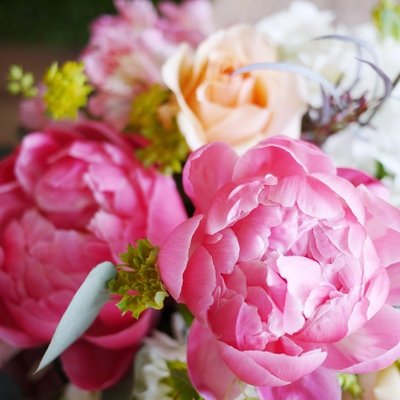 Peony Season