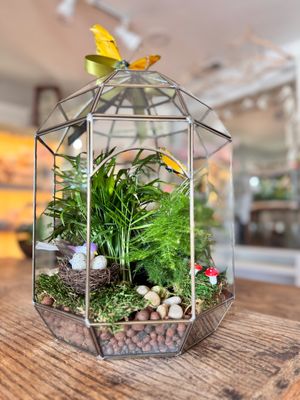 Hydro Living Garden Collection