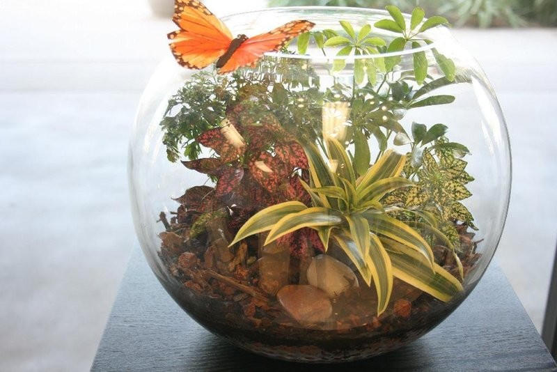 Glass Garden