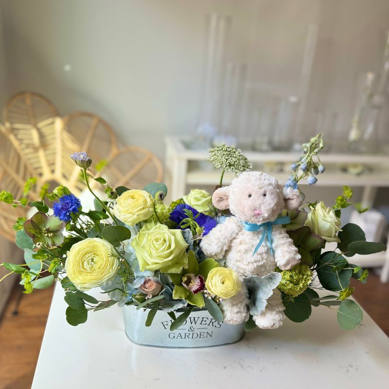 Welcoming Baby-Boy
