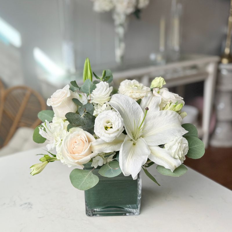 Low &amp; Lush - Modern White-Small