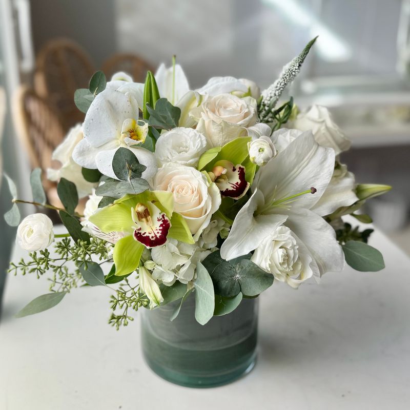 Low &amp; Lush - Modern White-Large