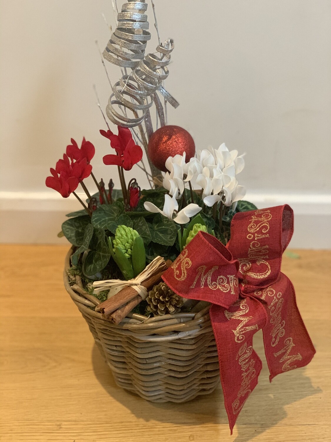 Christmas Cyclamen Basket