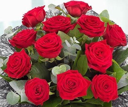 Valentines 18 Red roses