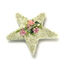 5 Point Star