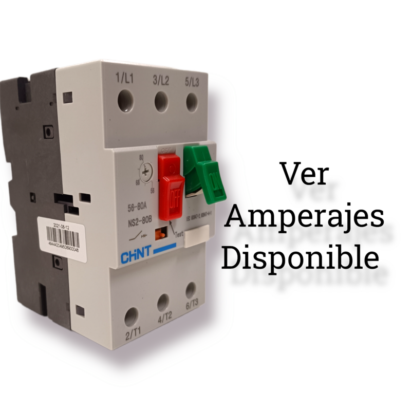 Guardamotor NS2-80B