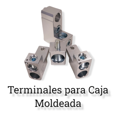 Terminales para Interruptores Caja Moldeada