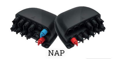 NAP