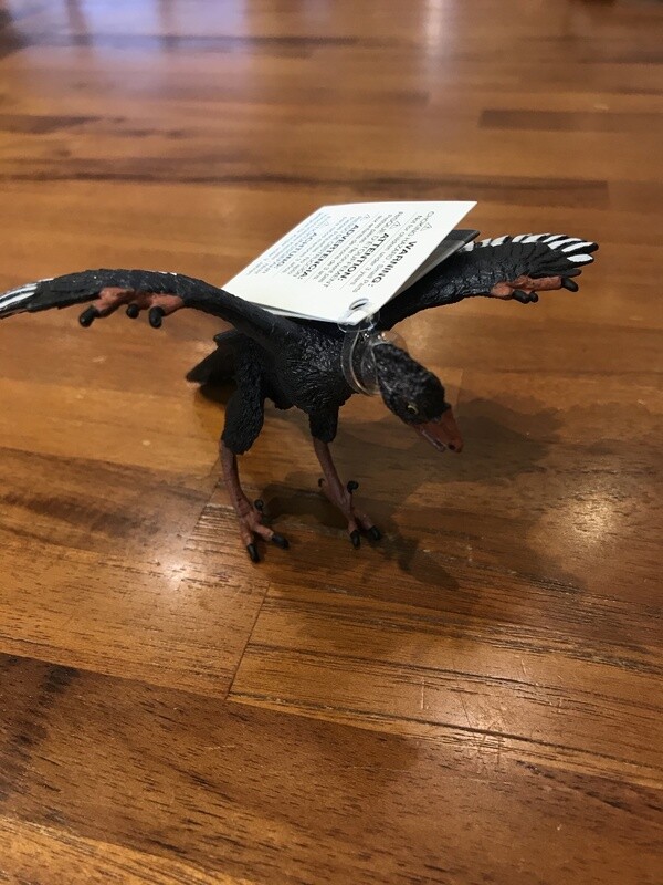 302829 Archaeopteryx