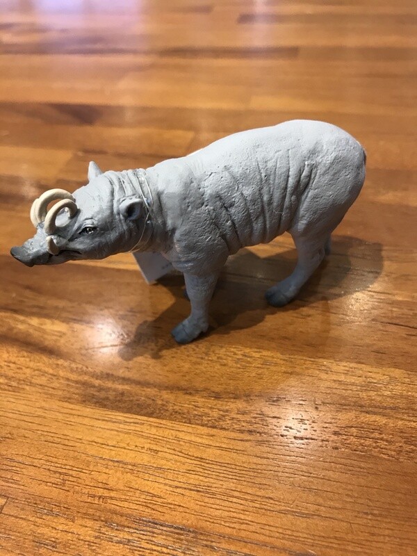 100102 Babirusa
