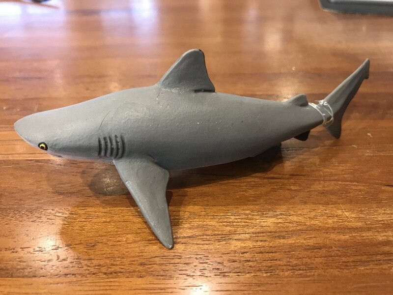 422429 Bull Shark