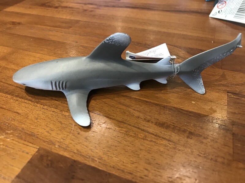 100271 Oceanic Whitetip Shark